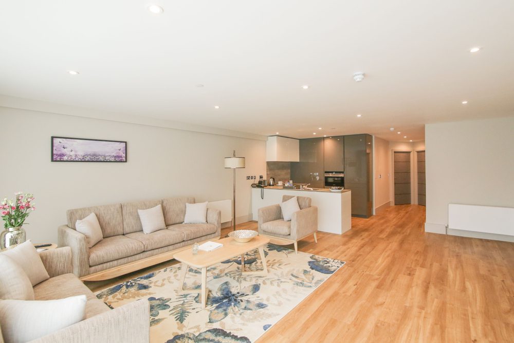 apartment living space with kitchen to the rear