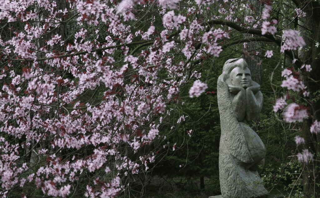 Stone sculpture amidst cherry blossoms at Old Thorns golf and leisure resort.