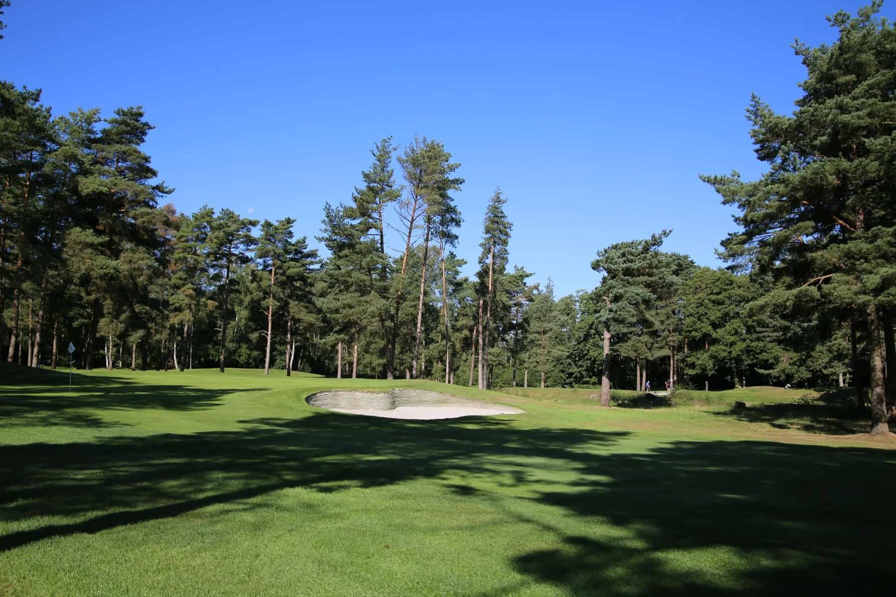 Photo of Old Thorns 18 championship Golf Course on a summers day