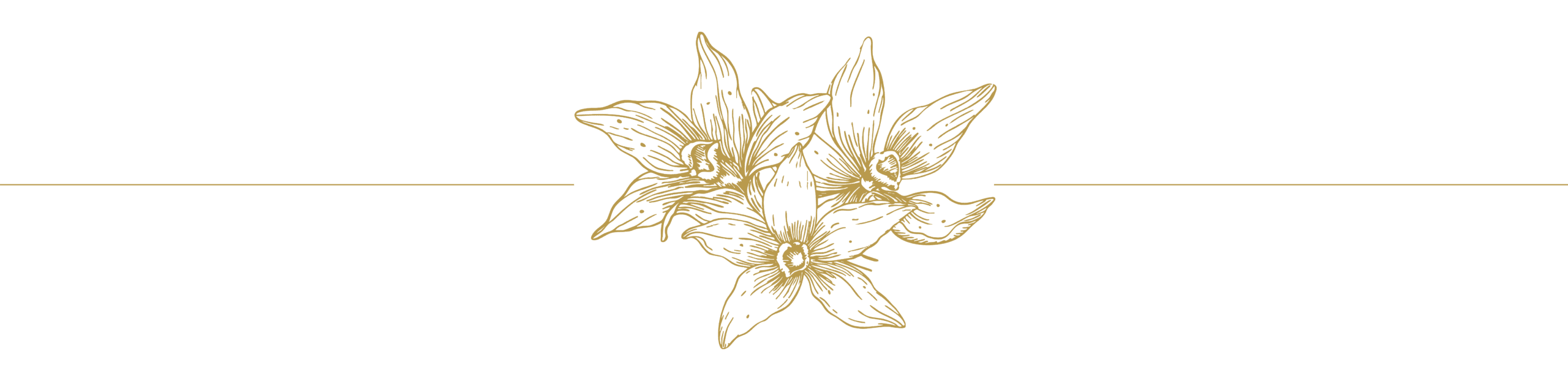 Spa - Flower1_Divider