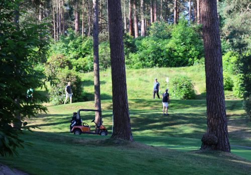 Group of Golfers on a green