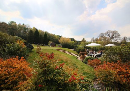 View of autumnal outdoor space