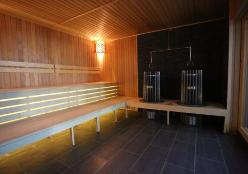 Sauna room with benches
